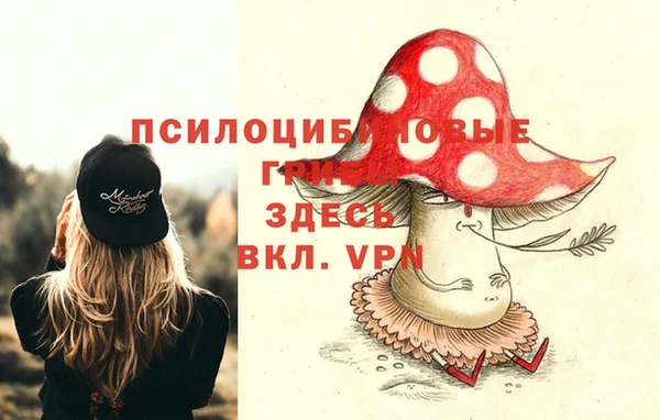 круглые Бородино